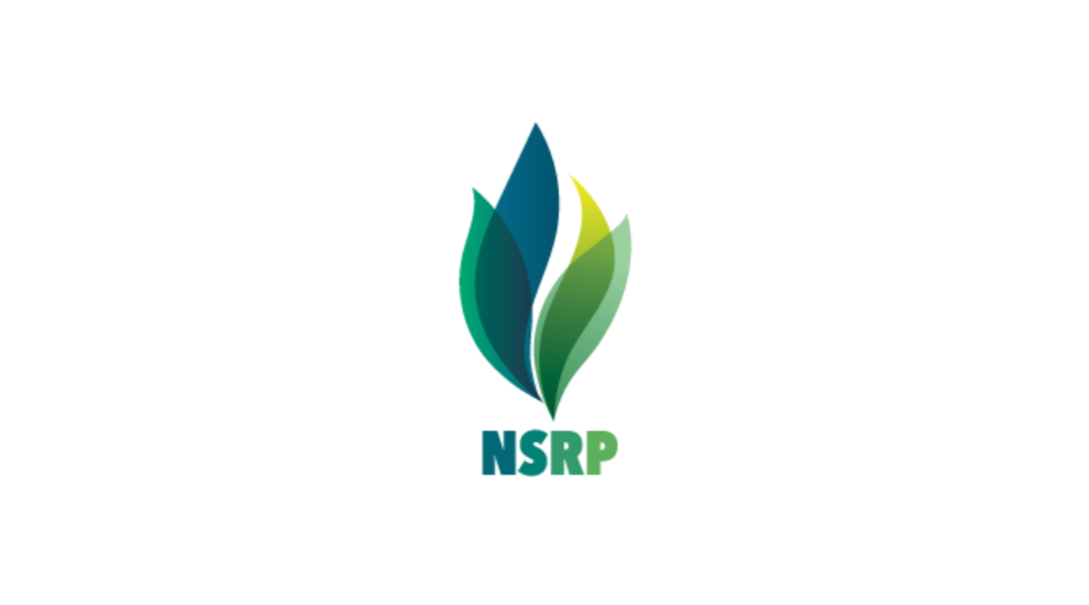 Lọc hóa dầu Nghi Sơn (NSRP)
