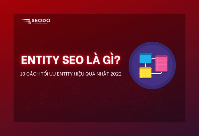 entity seo