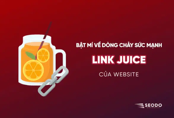 Link Juice