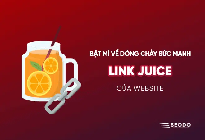 Link Juice
