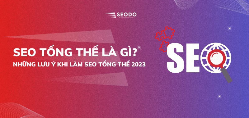 SEO tổng thể là gì