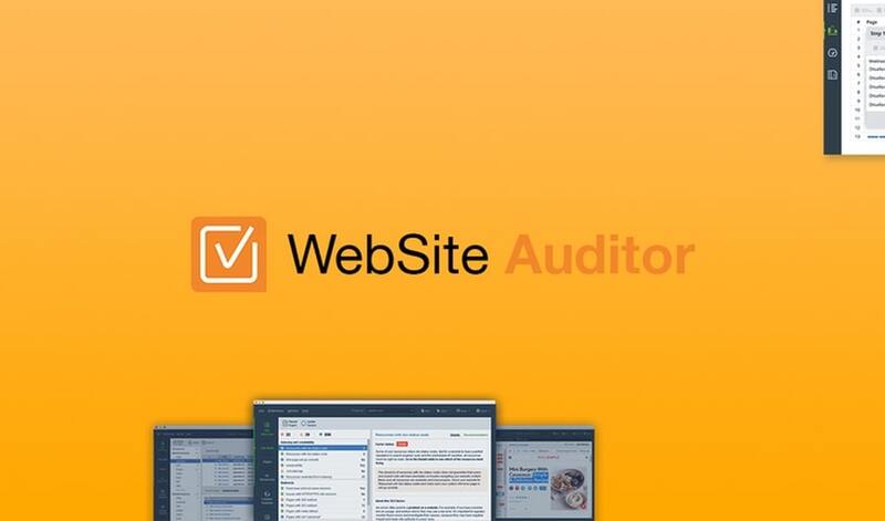 Website auditor