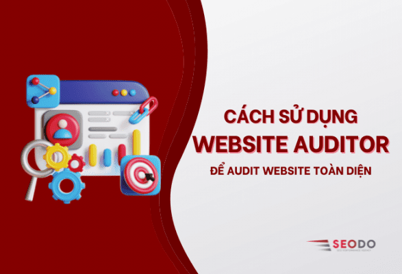 Website auditor
