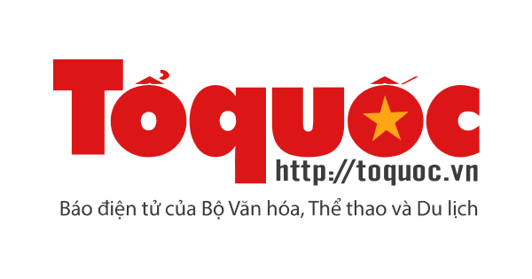 #1 Dịch vụ SEO Website - Chuẩn Tư Duy SEO Branding | SEODO