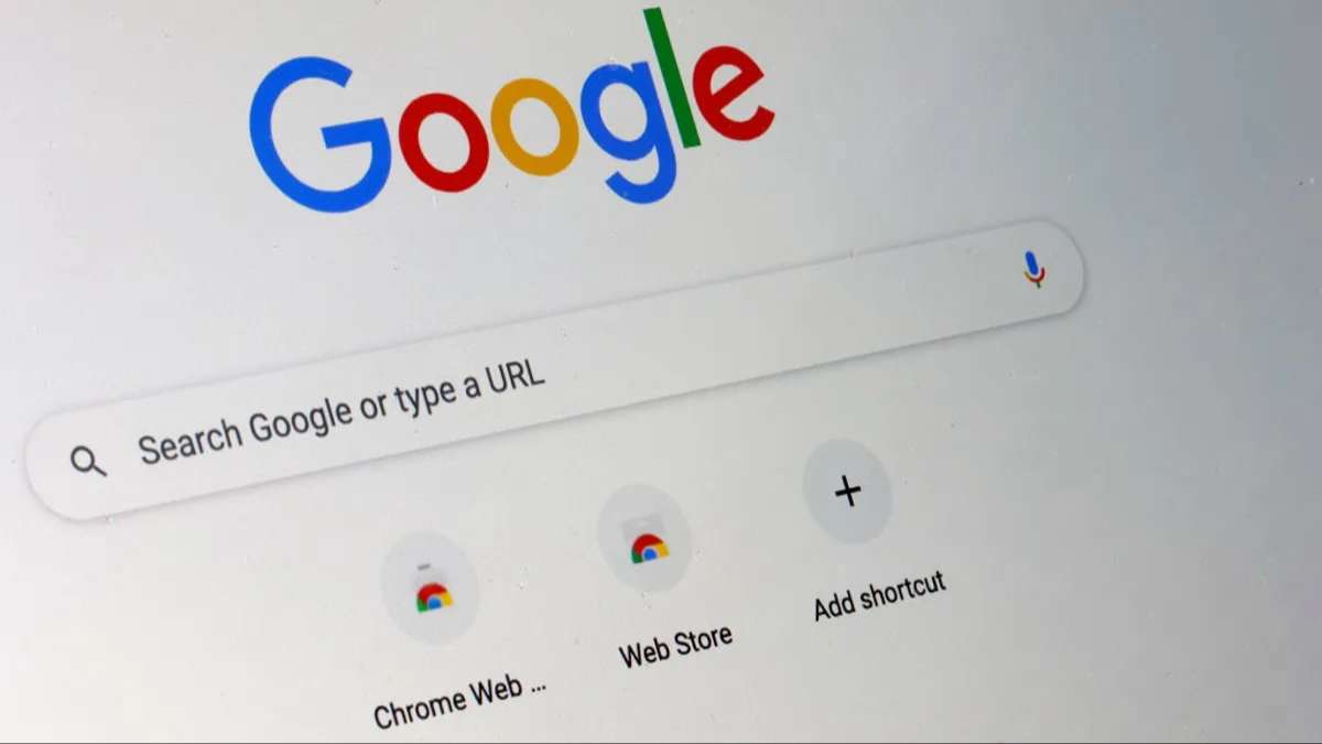 google-search-la-gi-2