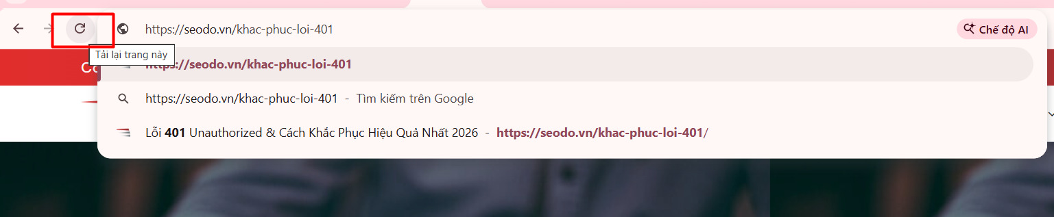 Lỗi 401 Unauthorized & Cách Khắc Phục Hiệu Quả Nhất 2026 13 khac-phuc-loi-401 (4)