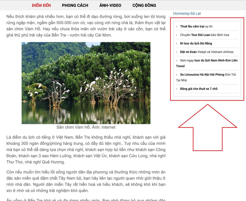 Backlink là gì trong SEO? Cách tạo Backlink chất lượng từ A - Z 36 backlink-la-gi-9