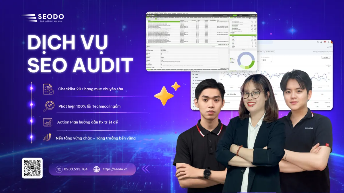 seo audit
