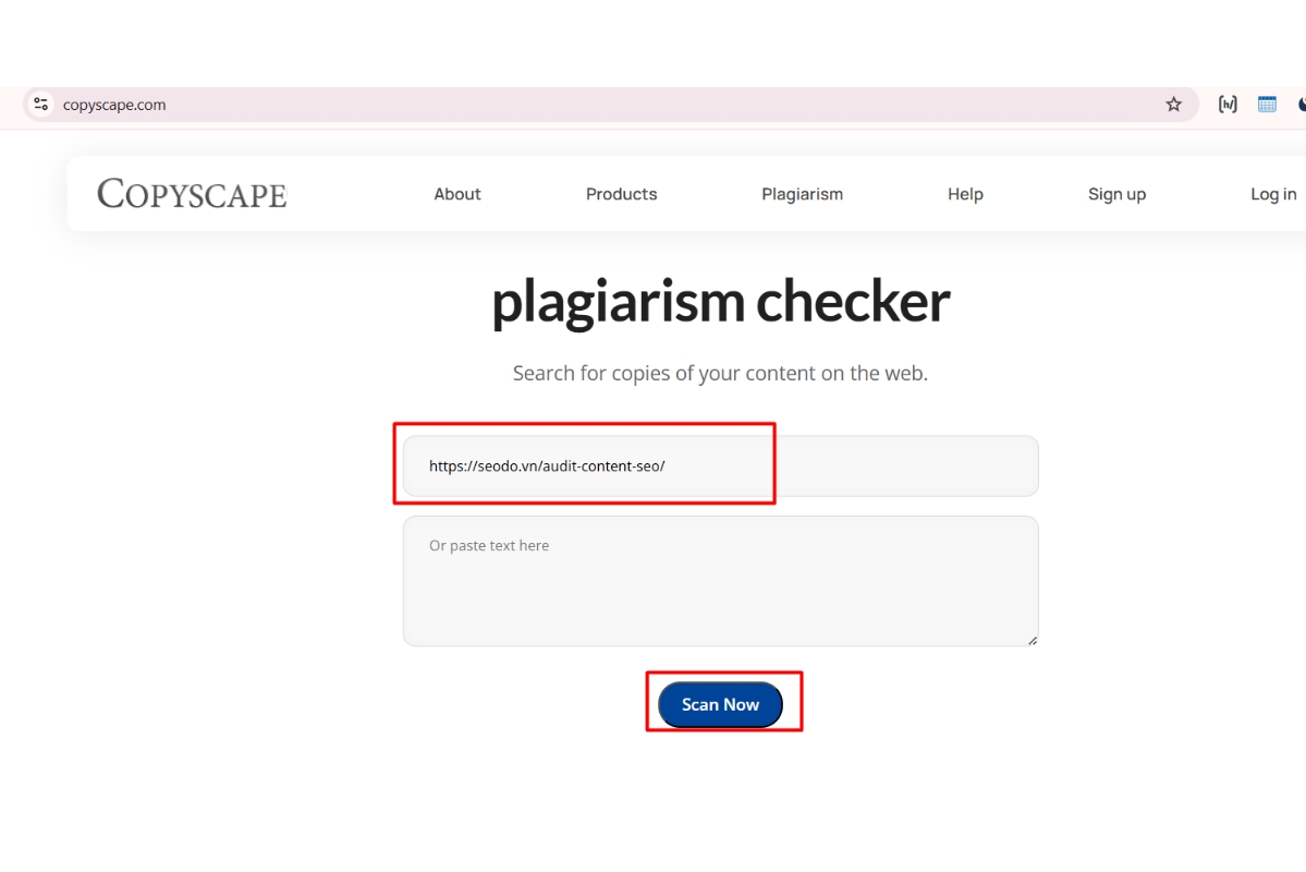 Duplicate content la gi (1)