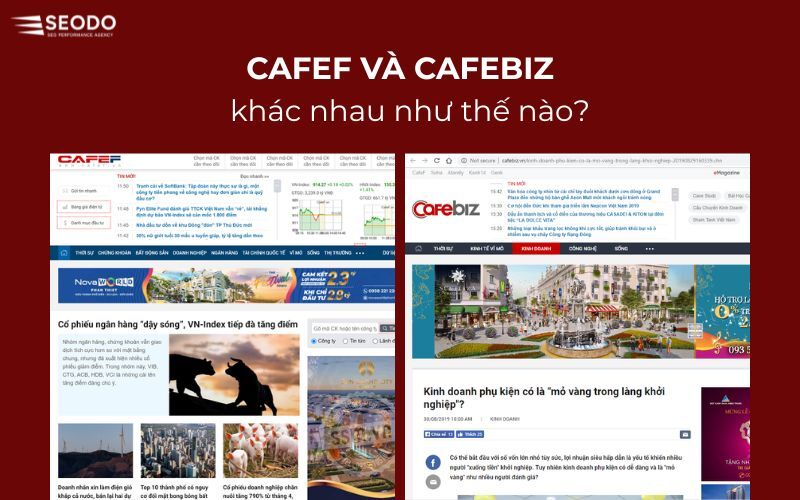 cafef và cafebiz khác nhau như thế nào