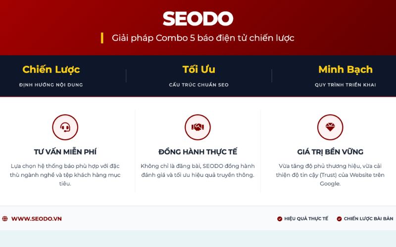 combo 5 báo seodo-don-vi-chuyen-cung-cap-dich-vu-combo-5-bao-uy-tin-va-hieu-qua