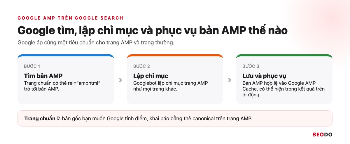 AMP Là Gì? Google AMP Còn Cần Cho SEO Không Và Khi Nào Nên Gỡ (Cập Nhật 2026) 31 Sơ đồ 3 bước Google tìm bản AMP qua amphtml, lập chỉ mục và lưu vào Google AMP Cache