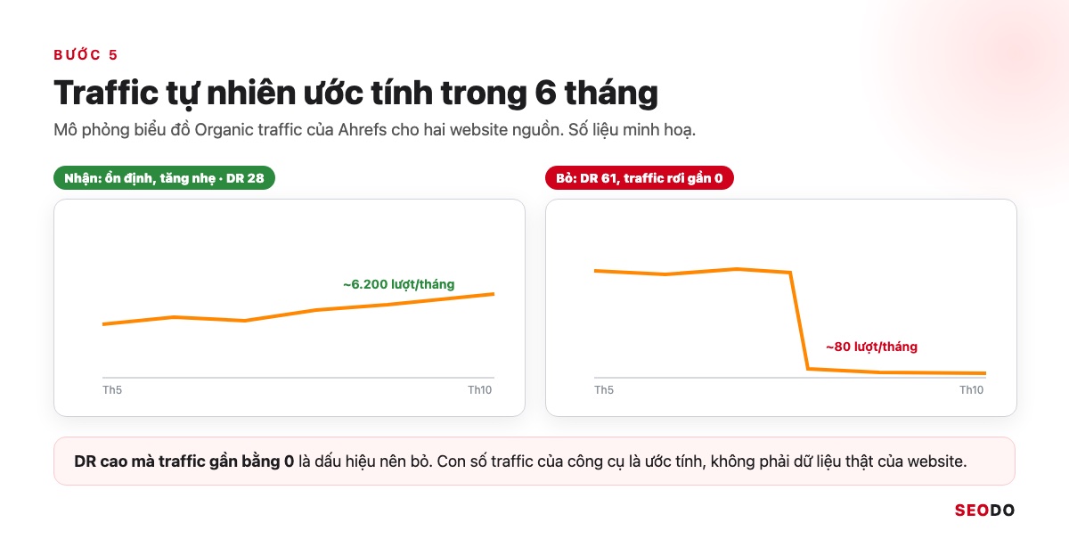 Hai biểu đồ traffic tự nhiên trong Ahrefs: một website ổn định tăng nhẹ và một website DR cao nhưng traffic rơi gần bằng 0