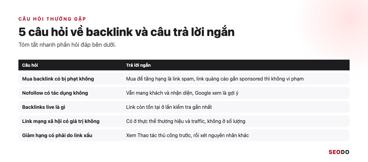 Bảng tóm tắt 5 câu hỏi thường gặp về backlink và câu trả lời ngắn