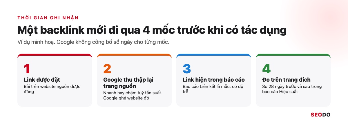 Dòng thời gian 4 mốc của một backlink mới: đặt link, Google thu thập trang nguồn, link hiện trong báo cáo, đo trên trang đích