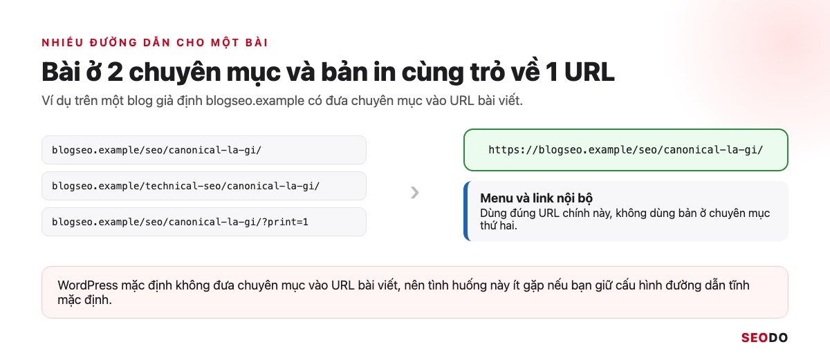 Canonical Là Gì? Hướng Dẫn Dùng Thẻ Canonical Đúng Theo Google (Cập Nhật 2026) 64 Sơ đồ bài viết ở hai chuyên mục seo và technical-seo cùng bản in trỏ canonical về một URL chính