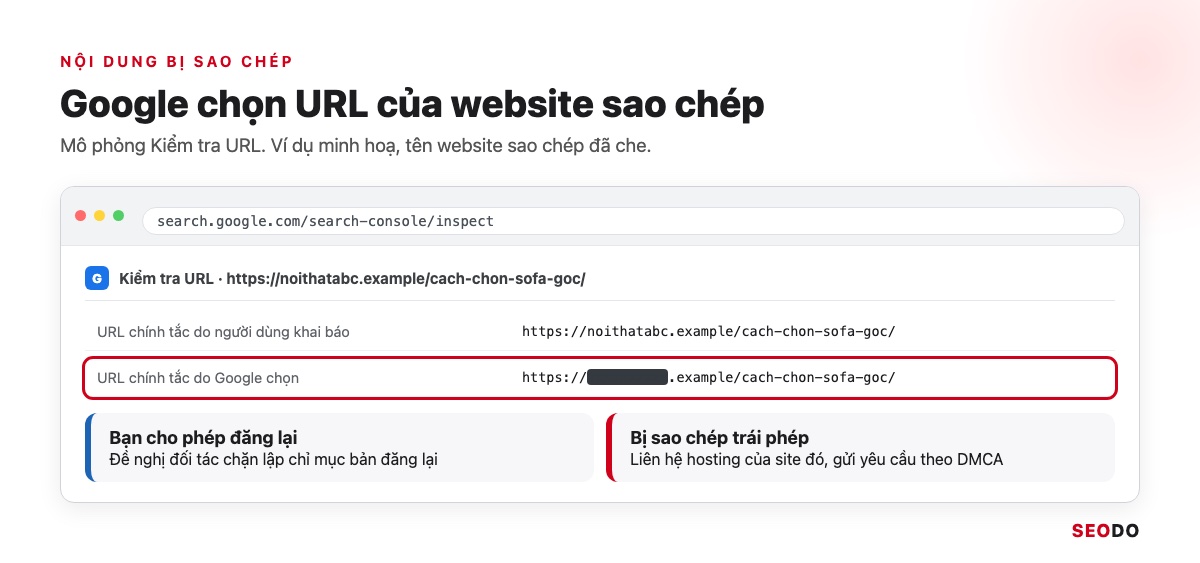 Canonical Là Gì? Hướng Dẫn Dùng Thẻ Canonical Đúng Theo Google (Cập Nhật 2026) 97 Mô phỏng Kiểm tra URL, URL chính tắc do Google chọn thuộc một website sao chép đã che tên