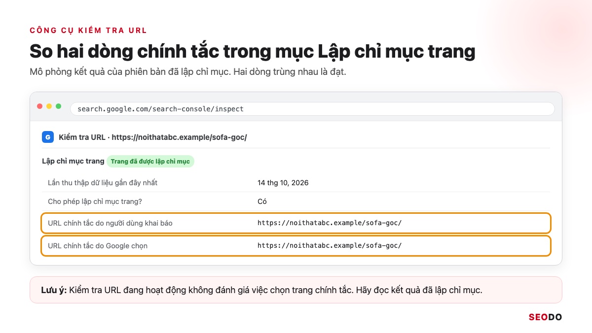 Canonical Là Gì? Hướng Dẫn Dùng Thẻ Canonical Đúng Theo Google (Cập Nhật 2026) 79 Mô phỏng công cụ Kiểm tra URL, mục Lập chỉ mục trang với hai dòng URL chính tắc do người dùng khai báo và do Google chọn trùng nhau