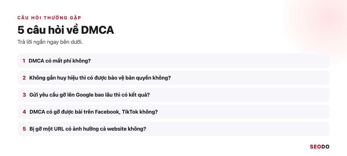 Danh sách 5 câu hỏi thường gặp về DMCA
