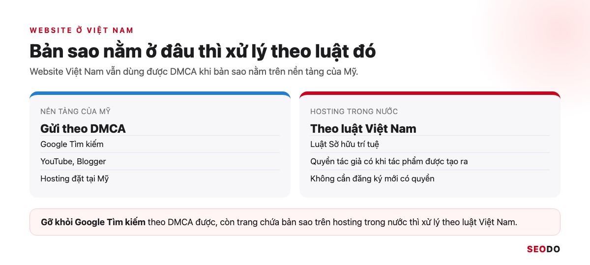 Sơ đồ hai nhánh: bản sao trên nền tảng của Mỹ gửi theo DMCA, bản sao trên hosting trong nước xử lý theo luật Việt Nam