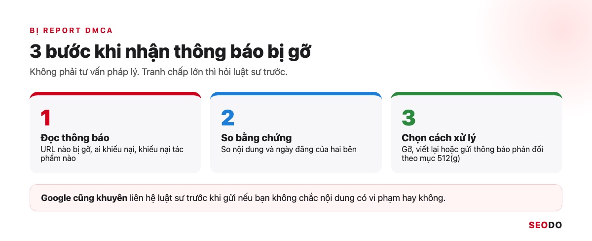 Ba bước khi bị report DMCA: đọc thông báo, so bằng chứng, chọn cách xử lý