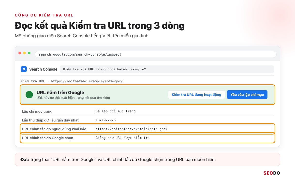 Google Index Là Gì? Cách Kiểm Tra Trang Đã Được Lập Chỉ Mục Và Giúp Google Index Đúng Trang (Cập Nhật 2026) 41 Mô phỏng kết quả Kiểm tra URL trong Search Console với trạng thái URL nằm trên Google và hai dòng URL chính tắc
