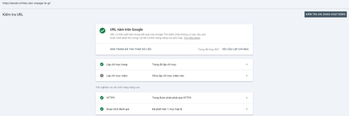 SEO Onpage Là Gì? 20 Việc Cần Làm Theo Thứ Tự Ưu Tiên (Cập Nhật 2026) 83 Công cụ Kiểm tra URL trong Google Search Console báo URL nằm trên Google