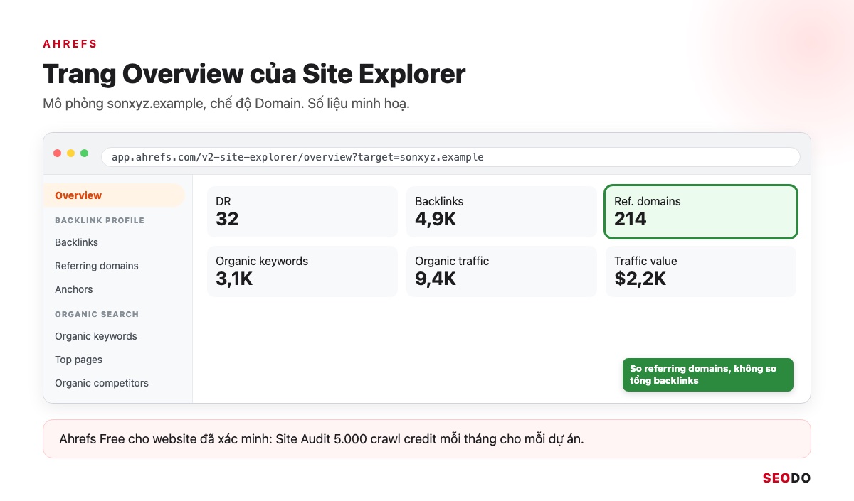 Mô phỏng trang Overview của Ahrefs Site Explorer với Domain Rating, Backlinks, Referring domains và Organic traffic