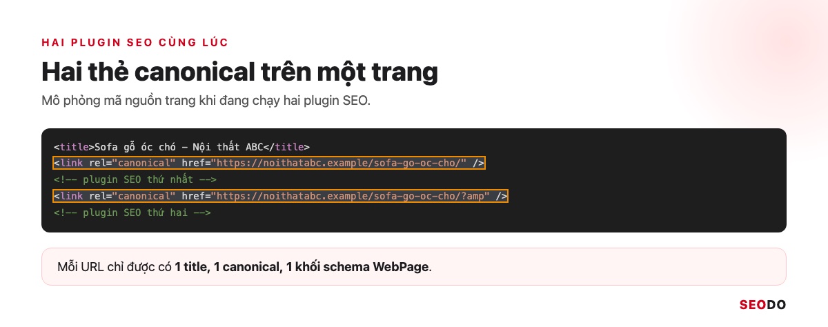 Mô phỏng mã nguồn trang có hai thẻ canonical bị khoanh đỏ