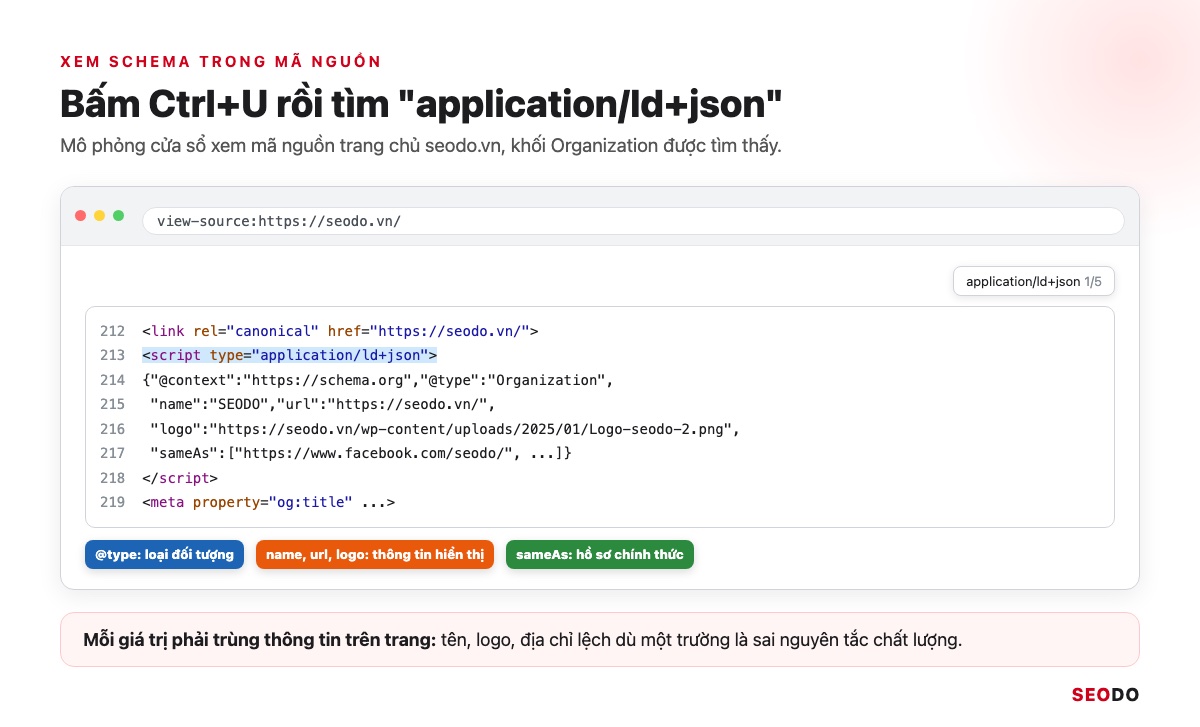 Mô phỏng cửa sổ xem mã nguồn trang seodo.vn đang tìm cụm application/ld+json, khối script Organization được khoanh lại