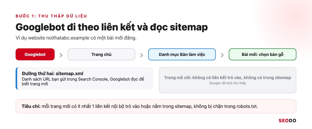 SEO Là Gì? Kiến Thức SEO Website Từ Cơ Bản Đến Quy Trình Triển Khai (Cập Nhật 2026) 55 Sơ đồ Googlebot đi từ trang chủ qua danh mục tới bài mới, kèm đường sitemap và một trang mồ côi