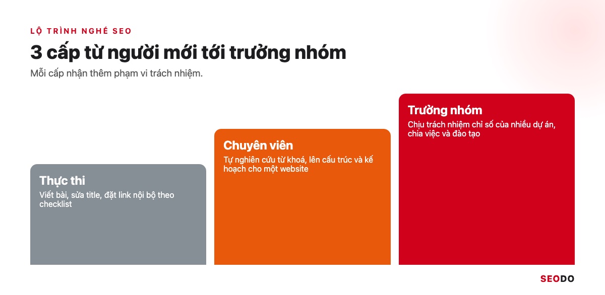 SEO Là Gì? Kiến Thức SEO Website Từ Cơ Bản Đến Quy Trình Triển Khai (Cập Nhật 2026) 96 Bậc thang 3 cấp thực thi, chuyên viên, trưởng nhóm và việc chính mỗi cấp