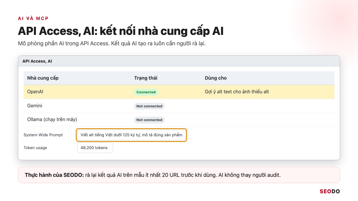 Mô phỏng phần AI trong API Access với OpenAI đã kết nối, System Wide Prompt và mức dùng token
