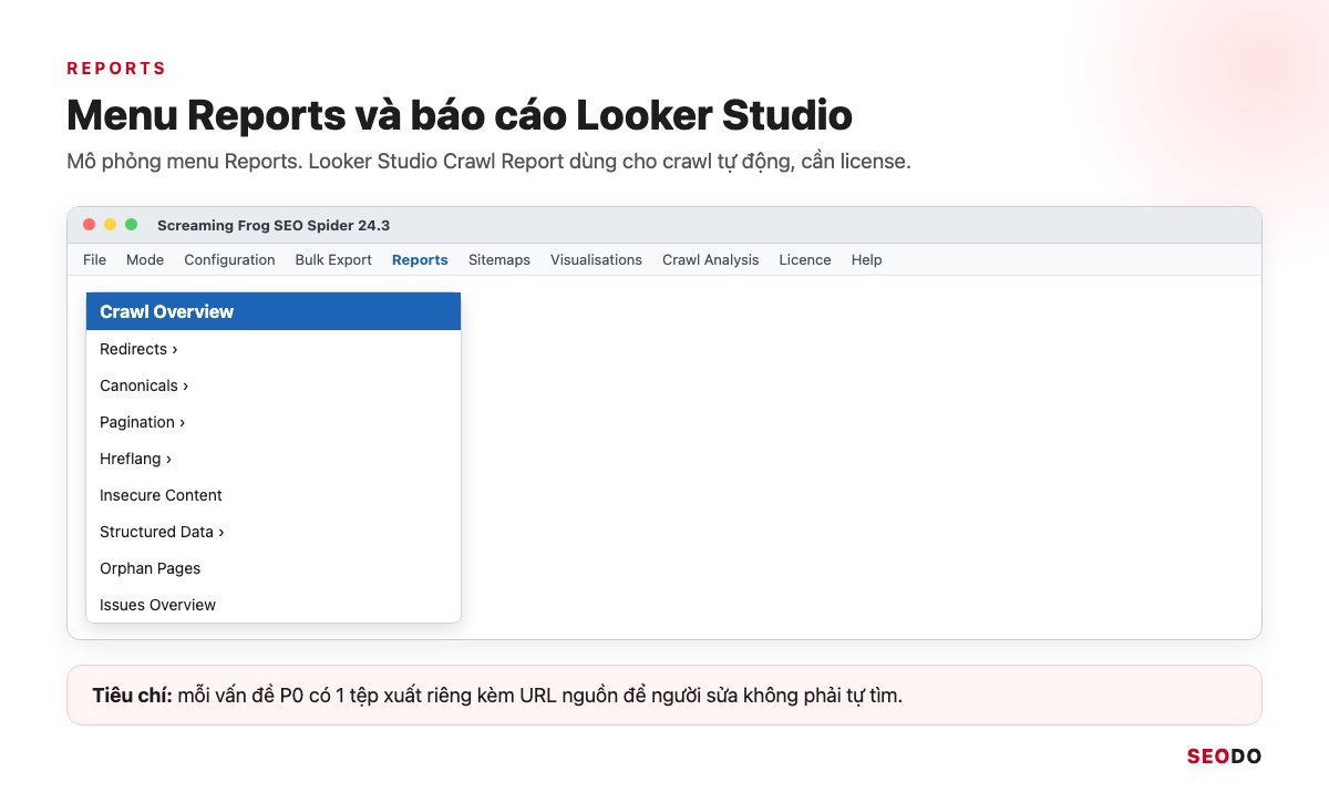 Mô phỏng menu Reports của SEO Spider với Crawl Overview, Redirects, Orphan Pages, Issues Overview