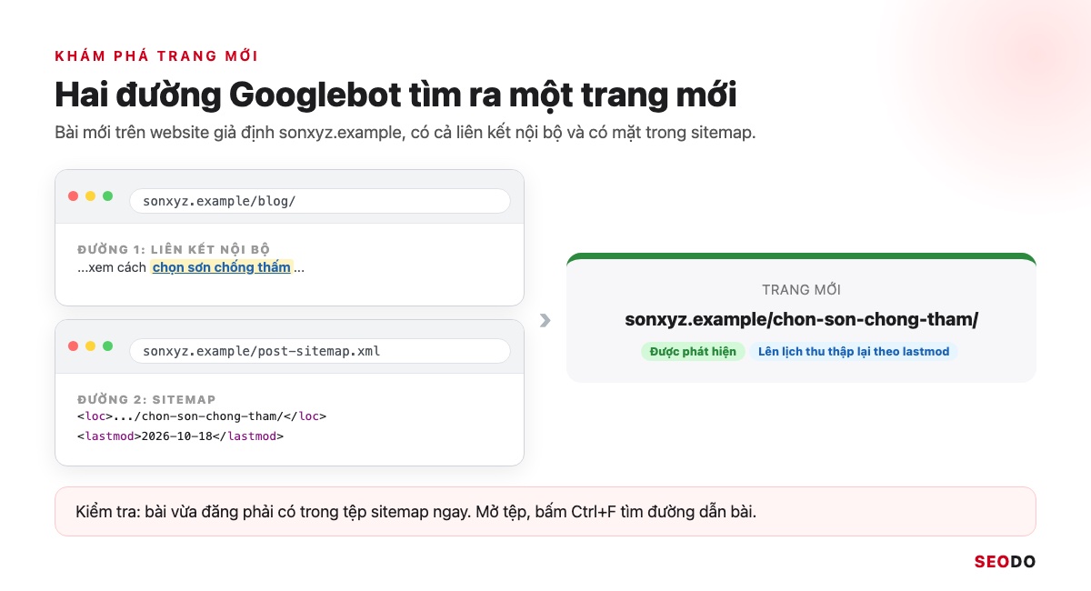 Sitemap Là Gì? Hướng Dẫn Tạo, Gửi Và Kiểm Tra Sitemap XML (Cập Nhật 2026) 61 Googlebot đi hai đường đến trang mới của sonxyz.example: qua liên kết nội bộ và qua sitemap